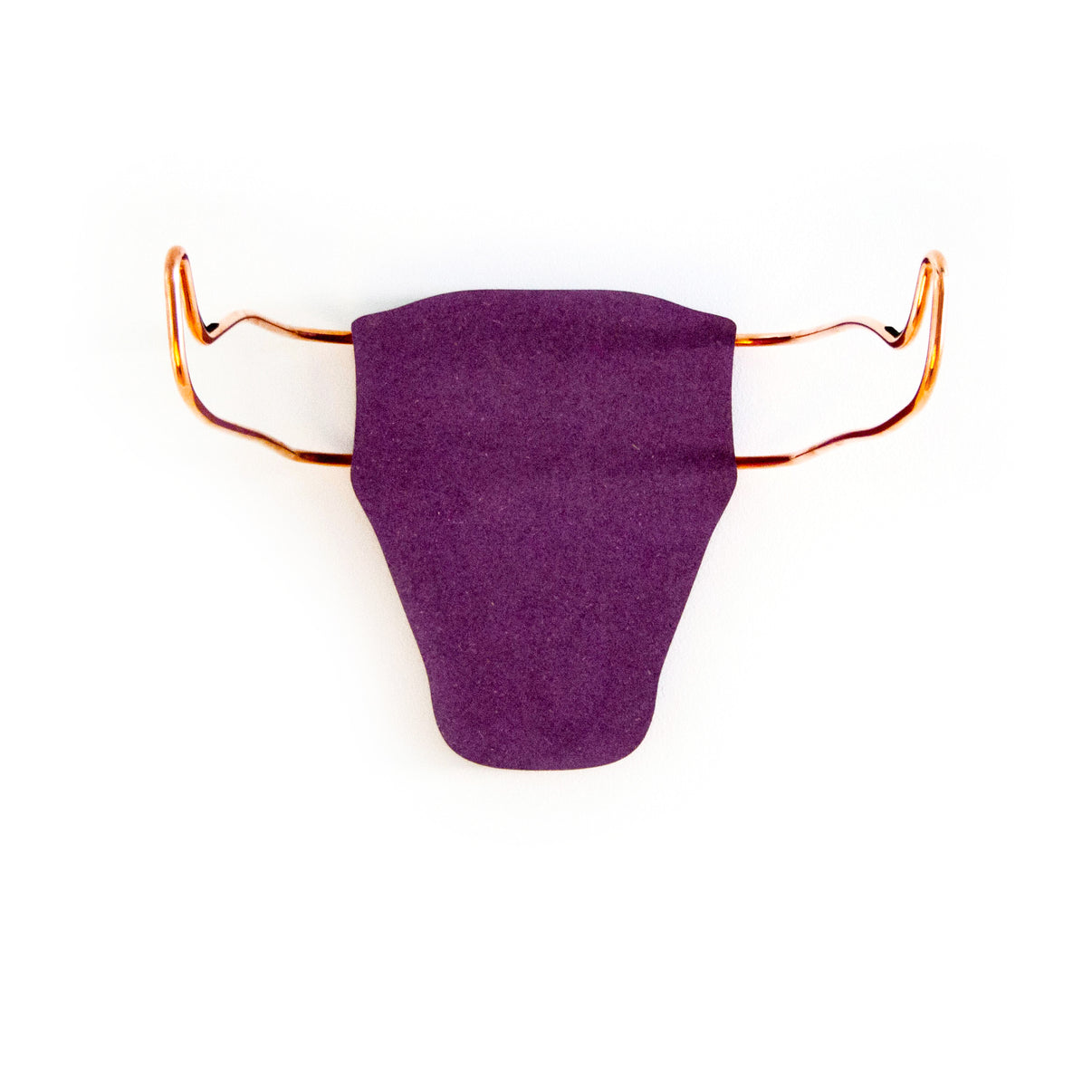 Home of the Wild bike racks, Trophy Bull & Trophy Deer