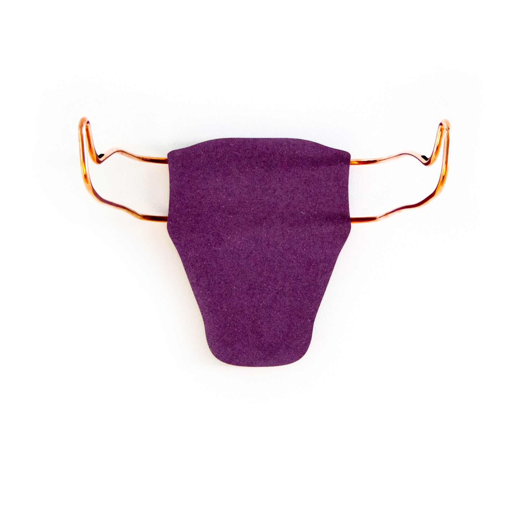 Home of the Wild bike racks, Trophy Bull & Trophy Deer